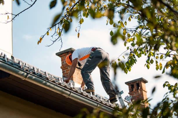 Roof Repair Estimates in Silver Springs, NV